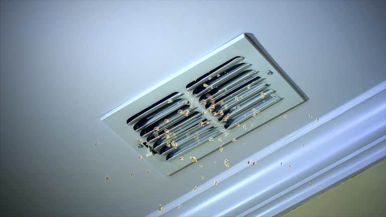 Best Best Air Duct Cleaning Company  in Bennettsville, SC
